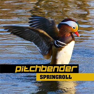 Cover: Springroll